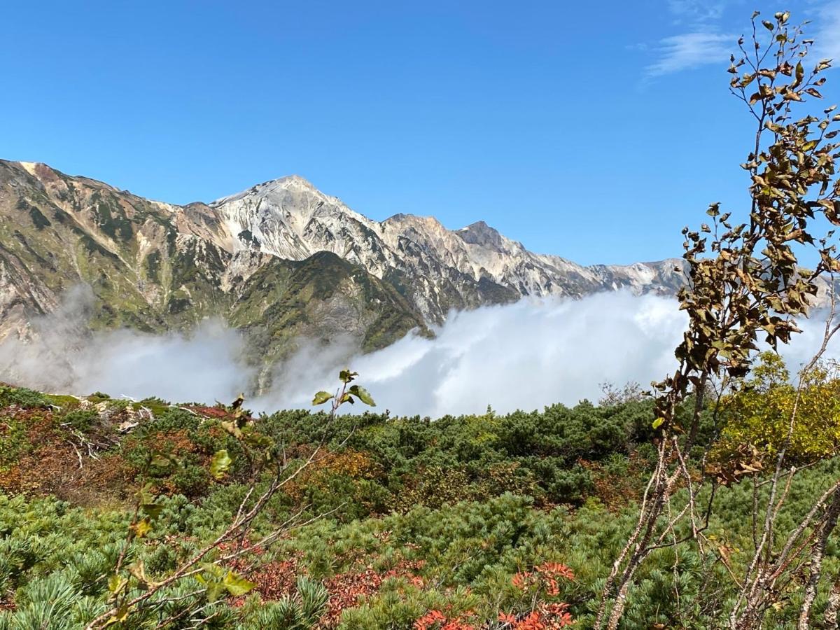 Hareruya Bed & Breakfast Hakuba Dış mekan fotoğraf